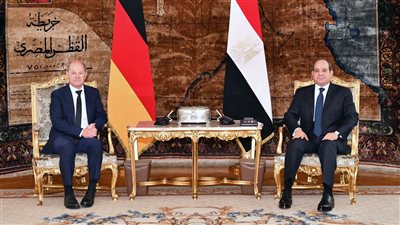 السيسي: نرفض تصفية القضية الفلسطينية أو محاولات تهجير الفلسطينيين.. وندين كافة الأعمال العسكرية التي تستهدف المدنيين