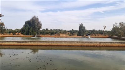 وزير الري: تطوير واحة سيوة يستعيد التوازن البيئي 