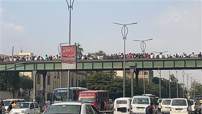 طلاب جامعة القاهرة ينظمون وقفة احتجاجية تضامنا مع فلسطين (فيديو وصور)