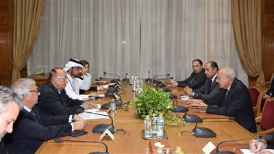 أبو الغيط يلتقي بوفد من الشبكة العربية للمؤسسات الوطنية لحقوق الإنسان