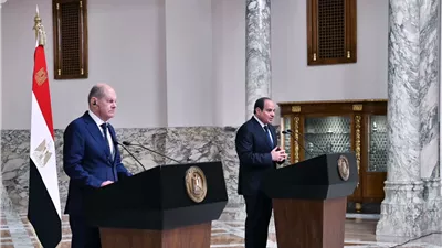 نرفض تهجير الفسلطينيين وتصفية القضية، 15 تصريحا من الرئيس السيسي للمستشار الألماني (إنفوجراف)