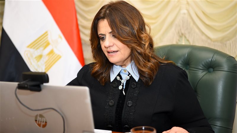 السفيرة سها جندي،فيتو
