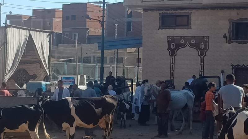 بيطرى الغربية: 4