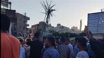 مظاهرات بالجريد وسعف النخيل دعما لفلسطين في قنا (فيديو)