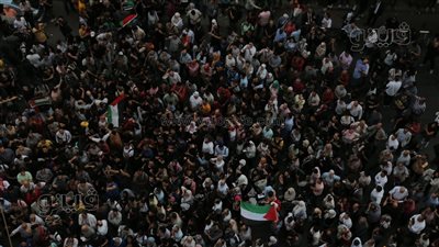 الصحفيون يرددون النشيد الوطني المصري رافعين علم فلسطين أثناء وقفتهم الاحتجاجية (فيديو وصور) 