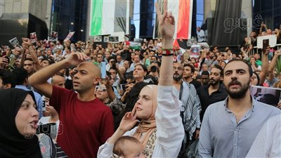 في رسالة تضامنية مع أطفال غزة، صحفية تصطحب رضيعها خلال الوقفة الاحتجاجية (صور)