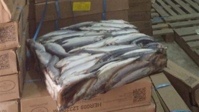 ضبط 5 أطنان سمك ماكريل منتهي الصلاحية بالبحيرة (صور)