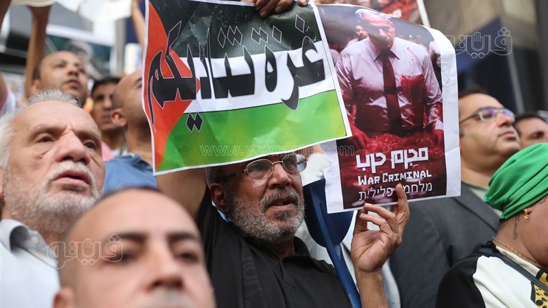 مظاهرات، فيتو