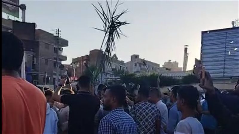 قنا، فيتو