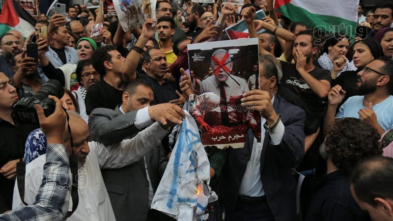 نقابة الصحفيين، فيتو
