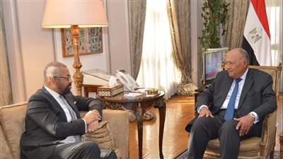 بدء جلسة المباحثات بين مصر والمملكة المتحدة حول التصعيد العسكرى فى غزة (صور)