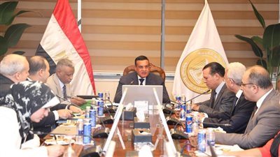 وزير التنمية المحلية يبحث مع وفد من الفاو مجالات التعاون المشترك