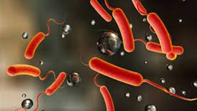 الكوليرا تضرب مدينة سودانية محاصرة وتحصد مئات الأرواح 