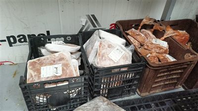 ضبط 8 أطنان دواجن ولحوم مستوردة ومصنعاتها غير صالحة بـ8 أحياء بالجيزة 