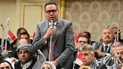 زراعة البرلمان: بدء صرف مليار جنيه من مستحقات مزارعى القطن فى عدة محافظات