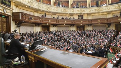 نائبة: المقاومة حق مشروع للفلسطينيين نحييهم عليها وليست إرهابا