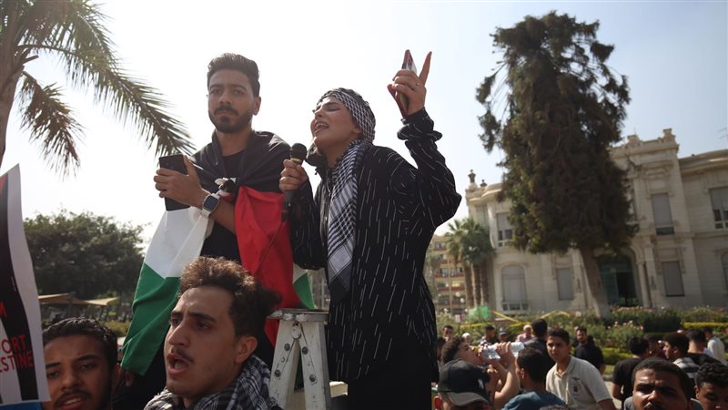 جامعة عين شمس، فيتو