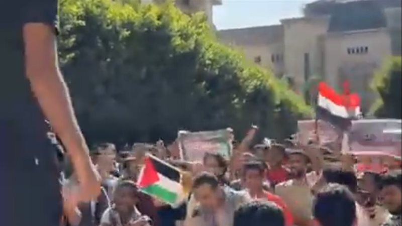 مظاهرات كلية الهندسة