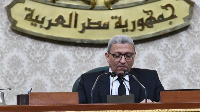 وكيل مجلس النواب،