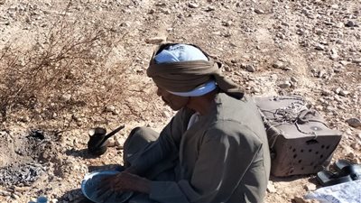 القرص المدفون، تعرف على وجبة البدو الأساسية في صحراء قنا (صور)