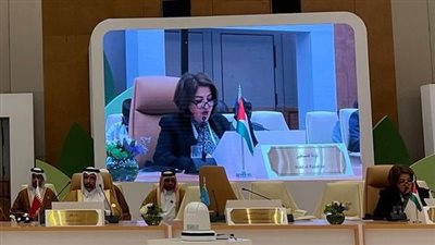 وزيرة البيئة الفلسطينية: غزة تتعرض لكارثة بيئية وصحية ستمتد آثارها إلى دول المنطقة