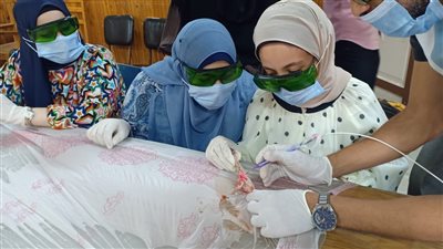 ورشة عمل لتدريب أطباء الأسنان على تطبيقات واستخدامات الليزر بصحة الدقهلية