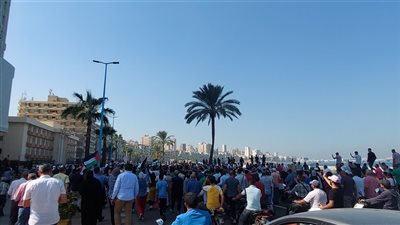 مسيرات تؤيد القضية الفلسطينية بشوارع قنا (بث مباشر)