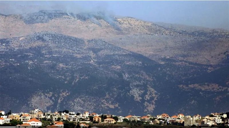 شمال لبنان، فيتو