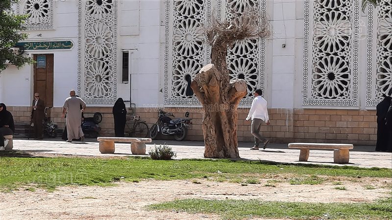مسجد المطافي في الإسماعيلية،