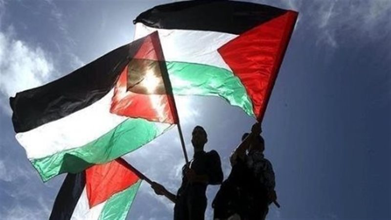 دعم القضية الفلسطينية،فيتو