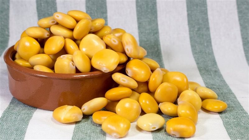 فوائد الترمس، فيتو