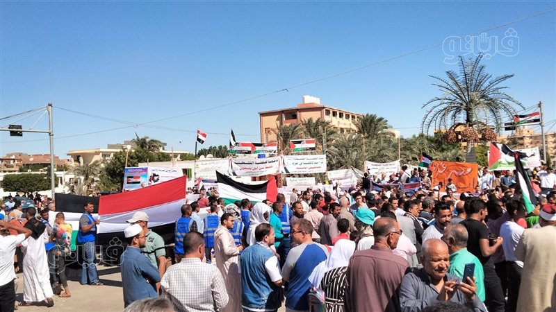 مظاهرات الوادي الجديد،