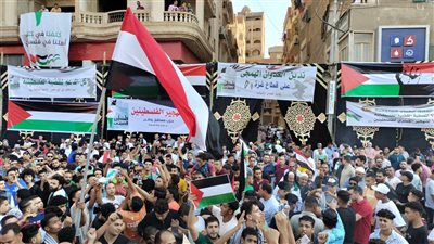 فلسطين عربية وسينا هتفضل مصرية، تظاهرات في شوارع المنوفية رفضا لحصار غزة (فيديو و صور)