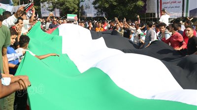 29 صورة ترصد احتشاد المتظاهرين للتنديد بجرائم الاحتلال الإسرائيلي في القاهرة 