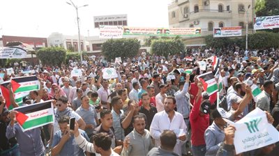 أهالي كفر الشيخ يزلزلون الميادين دعمًا للشعب الفلسطيني ( صور)