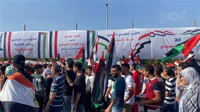 انضمام أسامة الأزهري وضياء رشوان ونشأت الديهي للمتظاهرين في المنصة للتنديد بالاحتلال