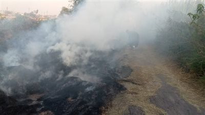 البيئة: السيطرة على حريق ضخم في بعض مخلفات الهيش وقش الأرز بالبحيرة