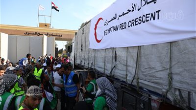 فتح معبر رفح وبدء دخول المساعدات إلى غزة (صور وفيديو)