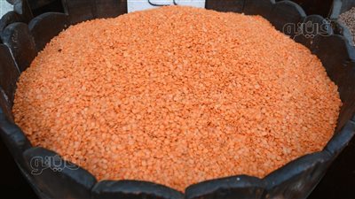 أسعار العدس مساء اليوم الخميس 16-5-2024 في الأسواق