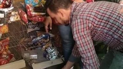 مراقبة الأغذية في الدقهلية تكثف حملاتها بالمرور على 382 منشأة