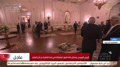 السيسي: العالم يقف متفرجا على الجريمة الإنسانية بغزة