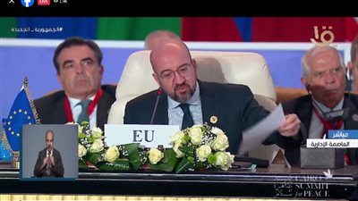 المجلس الأوروبي: نقف مع مصر لوقف التصعيد الاسرائيلي ودخول المساعدات الإنسانية لغزة 