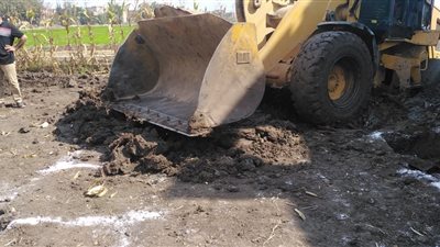 إزالة  25 حالة تعدي على الأراضي في حملات بالبحيرة (صور)