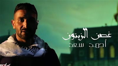 أبرزهم أحمد سعد، مطربون دعموا القضية الفلسطينية بالموسيقى (فيديو)