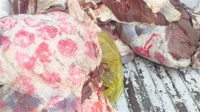 ضبط لحوم فاسدة بالجيزة،