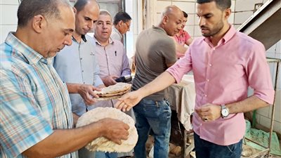 تحرير 73 محضرا تموينيا وغلق مخبز بالبحيرة (صور)