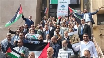 حدودنا خط أحمر، محامو المنوفية يدعمون فلسطين بوقفة تضامنية (صور)