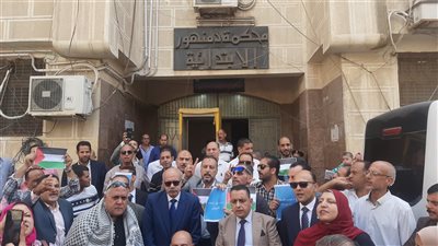 يا فلسطيني لا تهتم مصري وراك بالدم، وقفة تضامنية لمحامي البحيرة (فيديووصور)