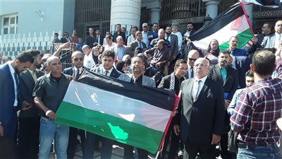  وقفة لمحامي الإسكندرية للتضامن مع فلسطين (فيديو)