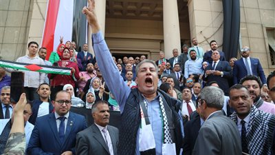 القرار من أرض النيل المقاومة ما في بديل، هتاف المحامين ضد جرائم الاحتلال (فيديو وصور) 